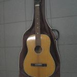 513 7611 Gitarr
